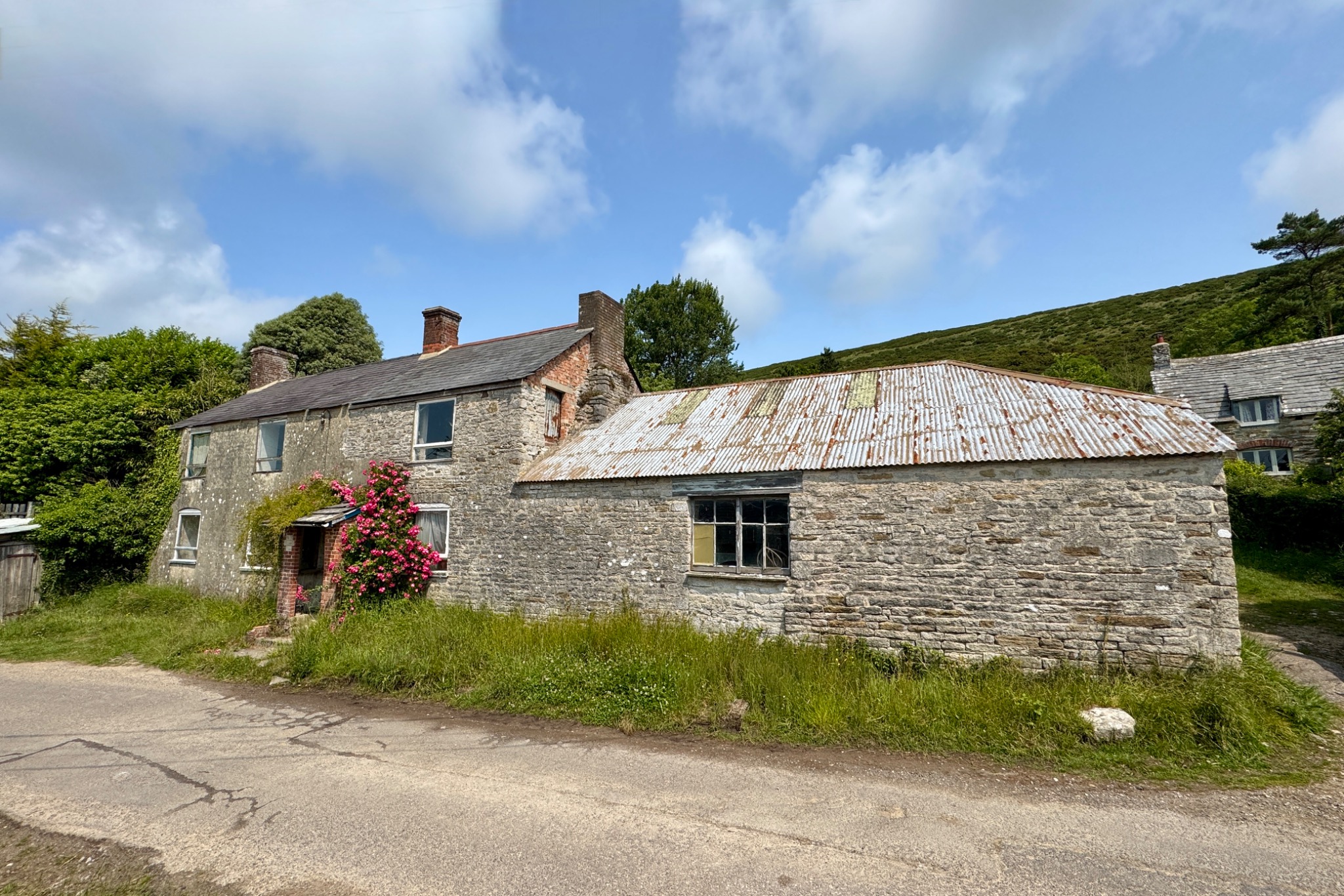 AILWOOD, CORFE CASTLE